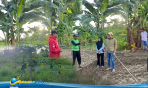 nuansainfo copy