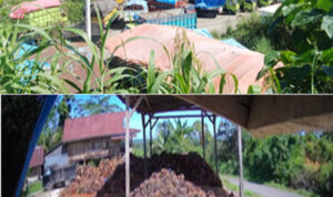 nuansainfo copy